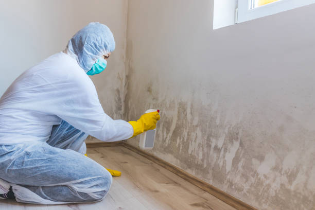 Hvac And Air Duct Mold Remediation inspection of HVAC system in Wallops Island
